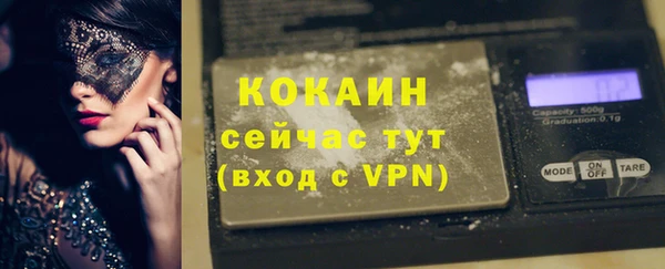 сатива Арсеньев
