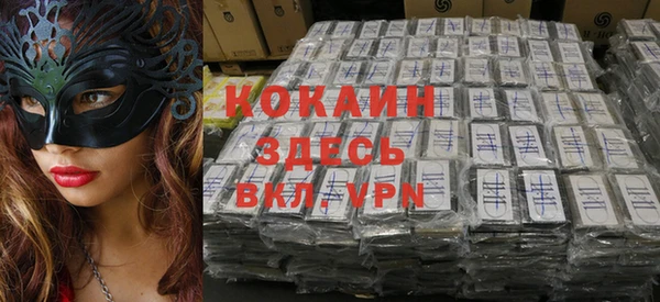 сатива Арсеньев